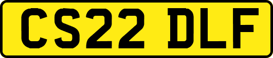 CS22DLF