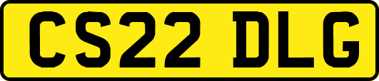 CS22DLG