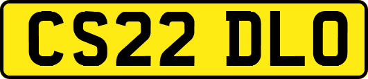 CS22DLO