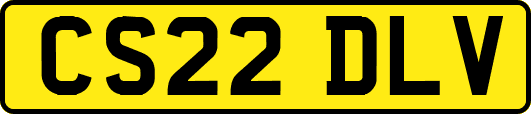 CS22DLV
