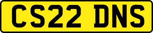 CS22DNS