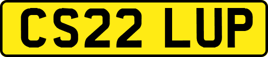 CS22LUP