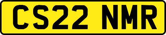 CS22NMR