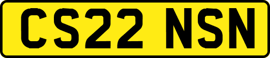 CS22NSN