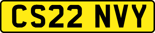 CS22NVY