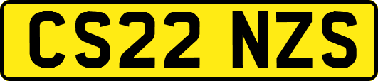 CS22NZS