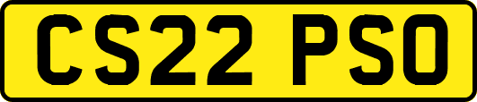 CS22PSO