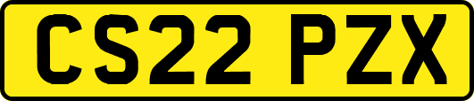 CS22PZX