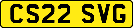 CS22SVG