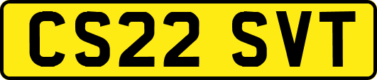 CS22SVT