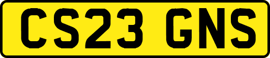 CS23GNS