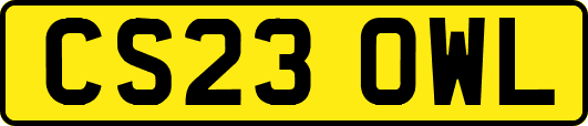 CS23OWL