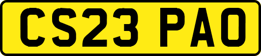 CS23PAO