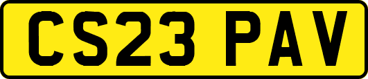 CS23PAV