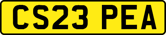 CS23PEA
