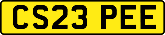 CS23PEE