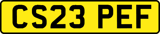 CS23PEF