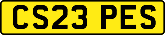 CS23PES