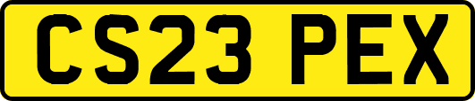 CS23PEX