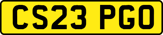 CS23PGO