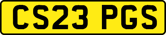 CS23PGS