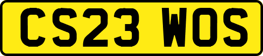CS23WOS