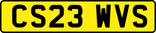 CS23WVS