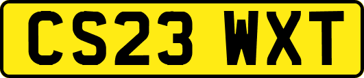 CS23WXT