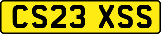 CS23XSS