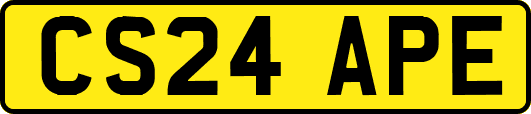 CS24APE