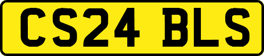 CS24BLS