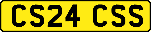 CS24CSS