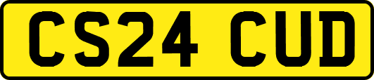 CS24CUD
