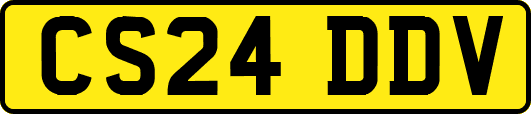 CS24DDV