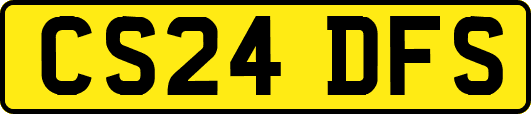 CS24DFS
