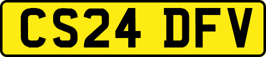 CS24DFV