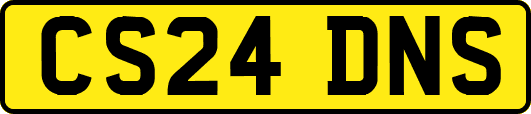 CS24DNS
