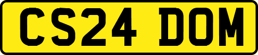 CS24DOM