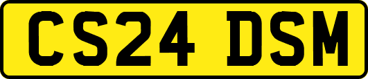 CS24DSM