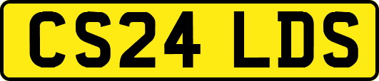 CS24LDS