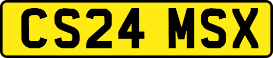 CS24MSX
