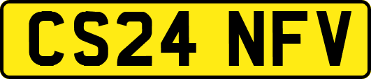 CS24NFV