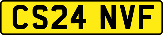 CS24NVF