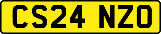 CS24NZO