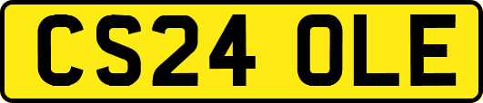 CS24OLE