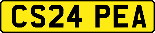 CS24PEA