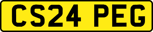 CS24PEG