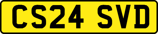 CS24SVD