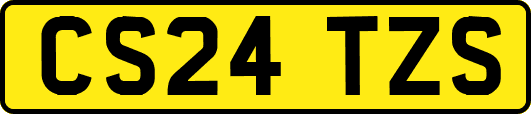CS24TZS