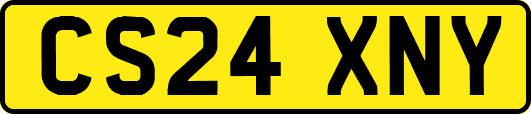 CS24XNY